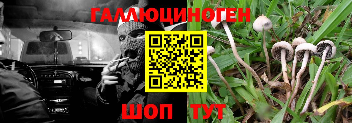 Псилоцибиновые грибы Cubensis Рассказово